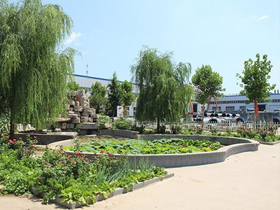公司环境